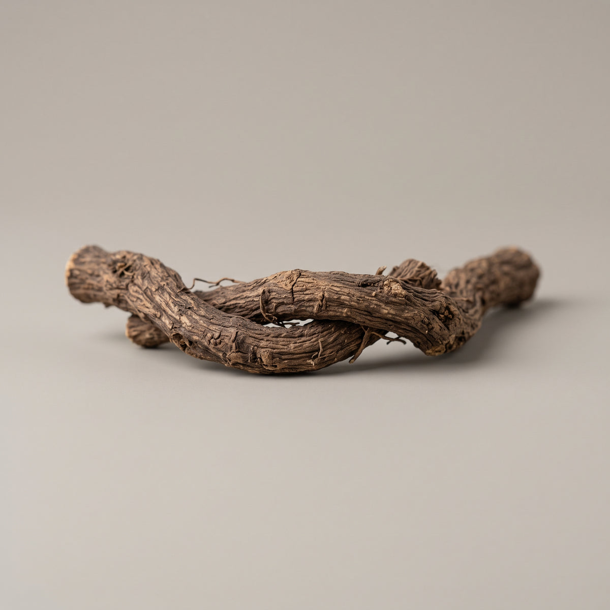 Wurzeln der Süssholzpflanze (Glycyrrhiza glabra) als Rohstoff für den CONIUNCTA® Süssholzwurzel Extrakt.