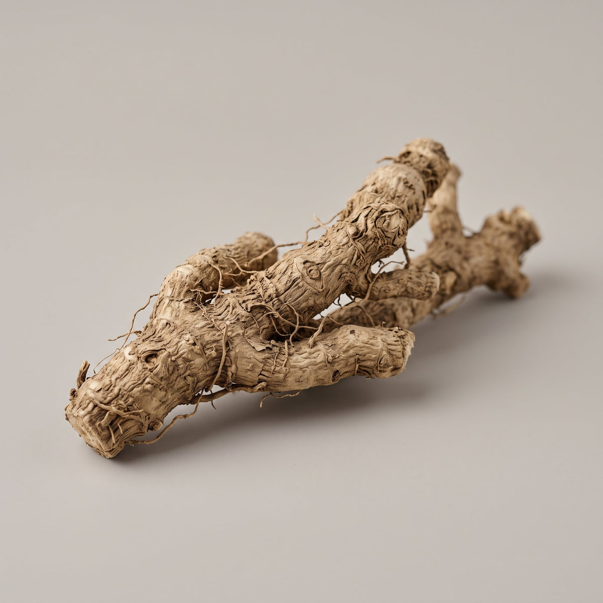 Yamswurzel Extrakt (Dioscorea Villosa (Wild Yam) Root Extract): Dioscin und Saponine aus der Wurzel - CONIUNCTA