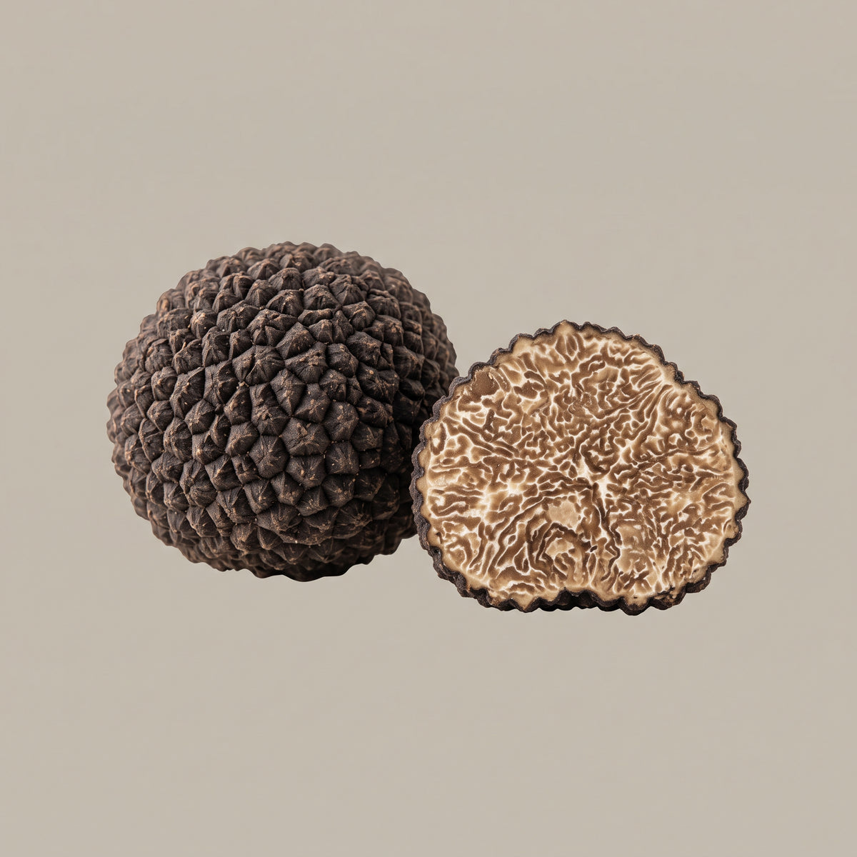 Sommertrüffel (Tuber Aestivum) mit dunkler warziger Außenhaut und marmoriertem Fruchtkörper als Rohstoff für den CONIUNCTA® PRO Trüffel Ölextrakt