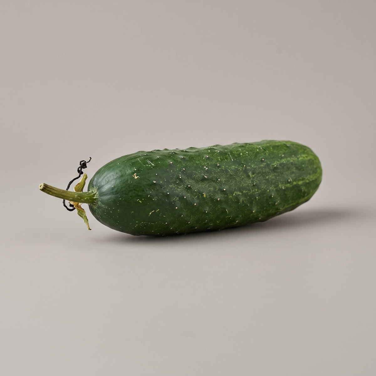 Gurken Extrakt (Cucumis Sativus Extract): Polysaccharide, organische Säuren und eine lebensmitteltaugliche Glycerin-Variante - CONIUNCTA