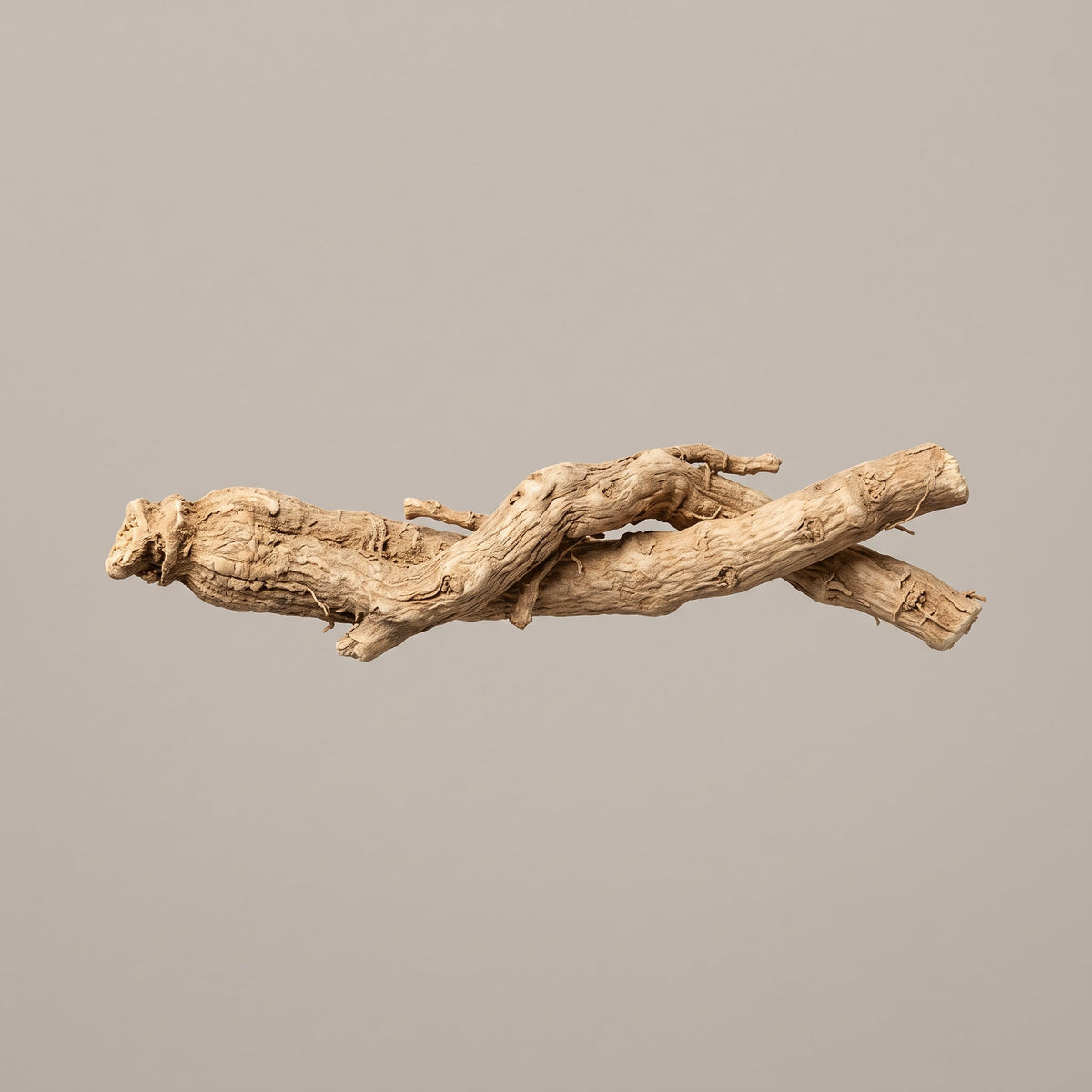 Withanolide aus der Ashwagandha-Wurzel: CONIUNCTA® PRO Ölextrakt (Withania Somnifera (Ashwagandha) Root Extract) in drei wasserfreien Trägern - CONIUNCTA