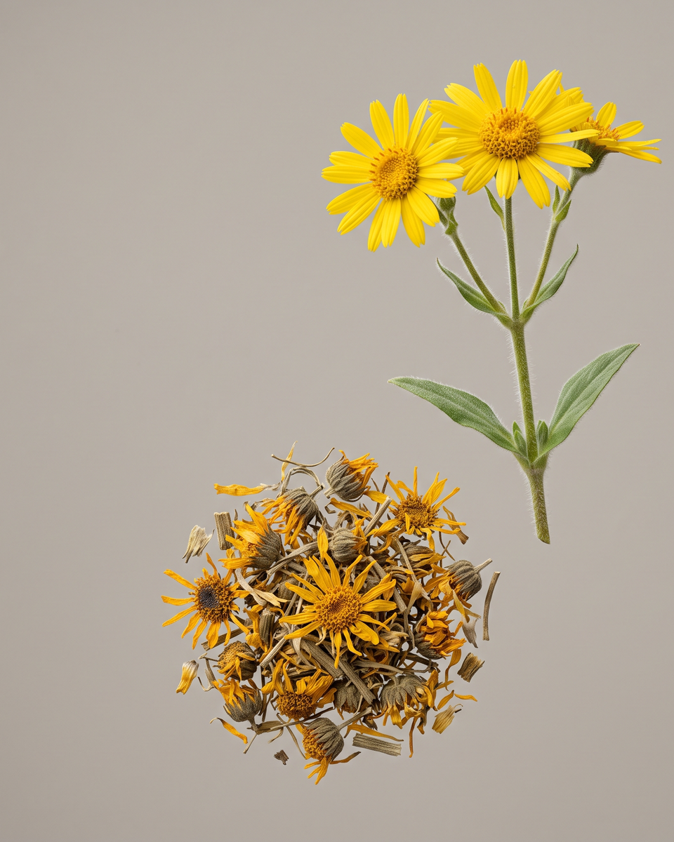 Arnica Estratto (Arnica Montana Flower Extract)