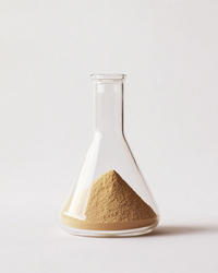 Ashwagandha Pulverextrakt 10:1 (Withania Somnifera)