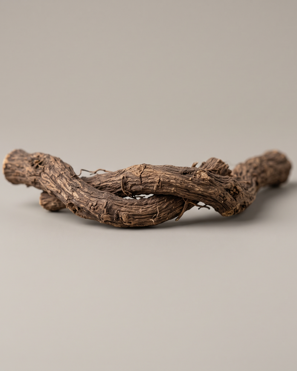 Extrait de racine de réglisse (Glycyrrhiza Glabra Root Extract)